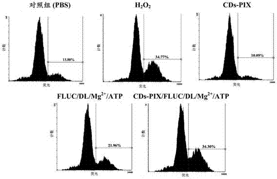 Up-conversion carbon quantum dot-protoporphyrin IX compound photosensitizer capable of being triggered by bioluminescence and preparation method thereof