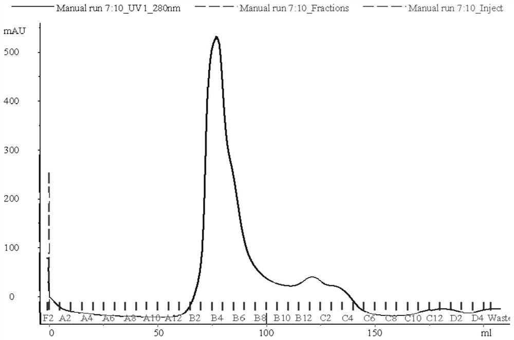 Separation and purification method of recombinant hepatitis B core antigen