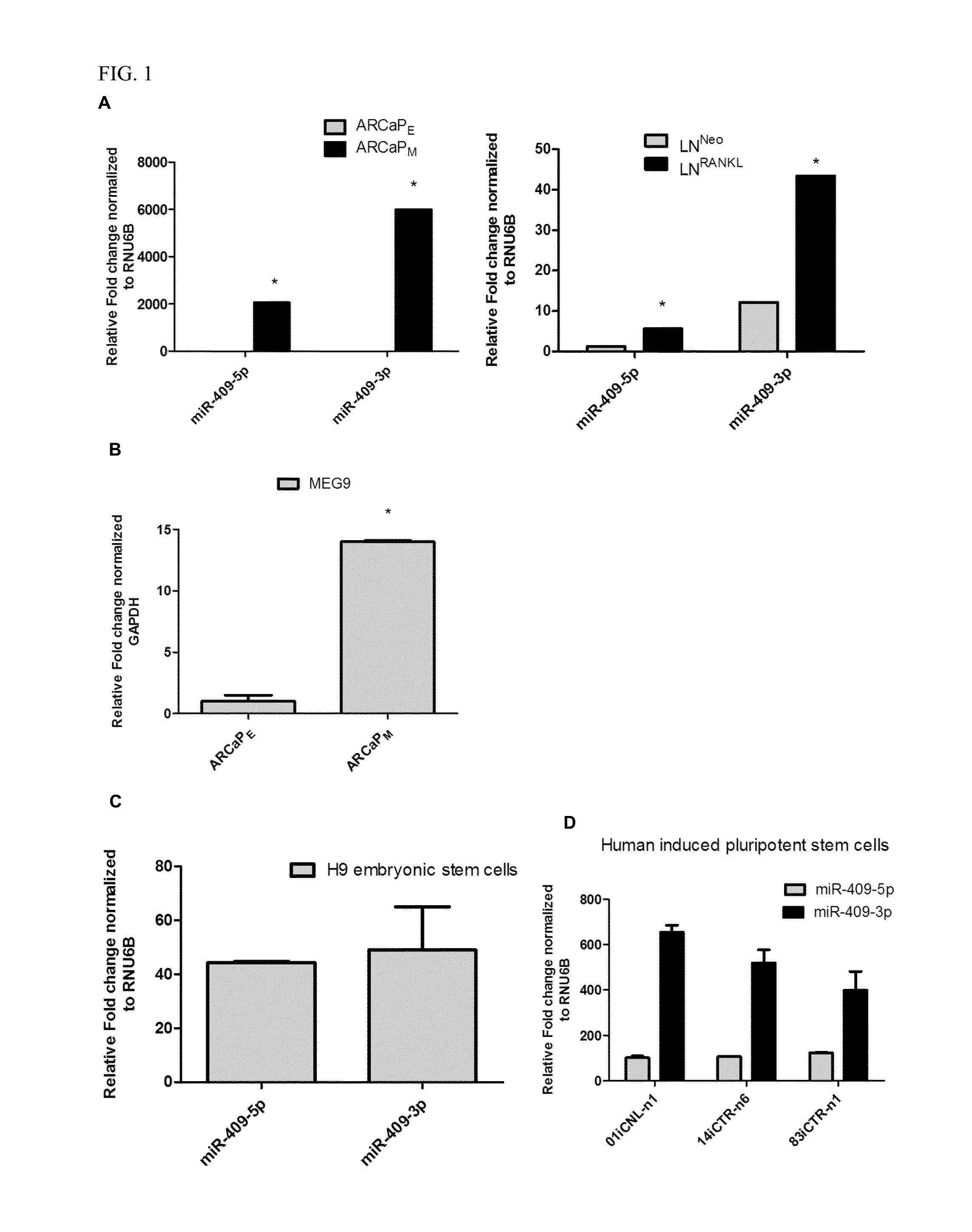 Targeting micrornas mir-409-5p, mir-409-3p and mir-154* to treat prostate cancer bone metastasis and drug resistant lung cancer