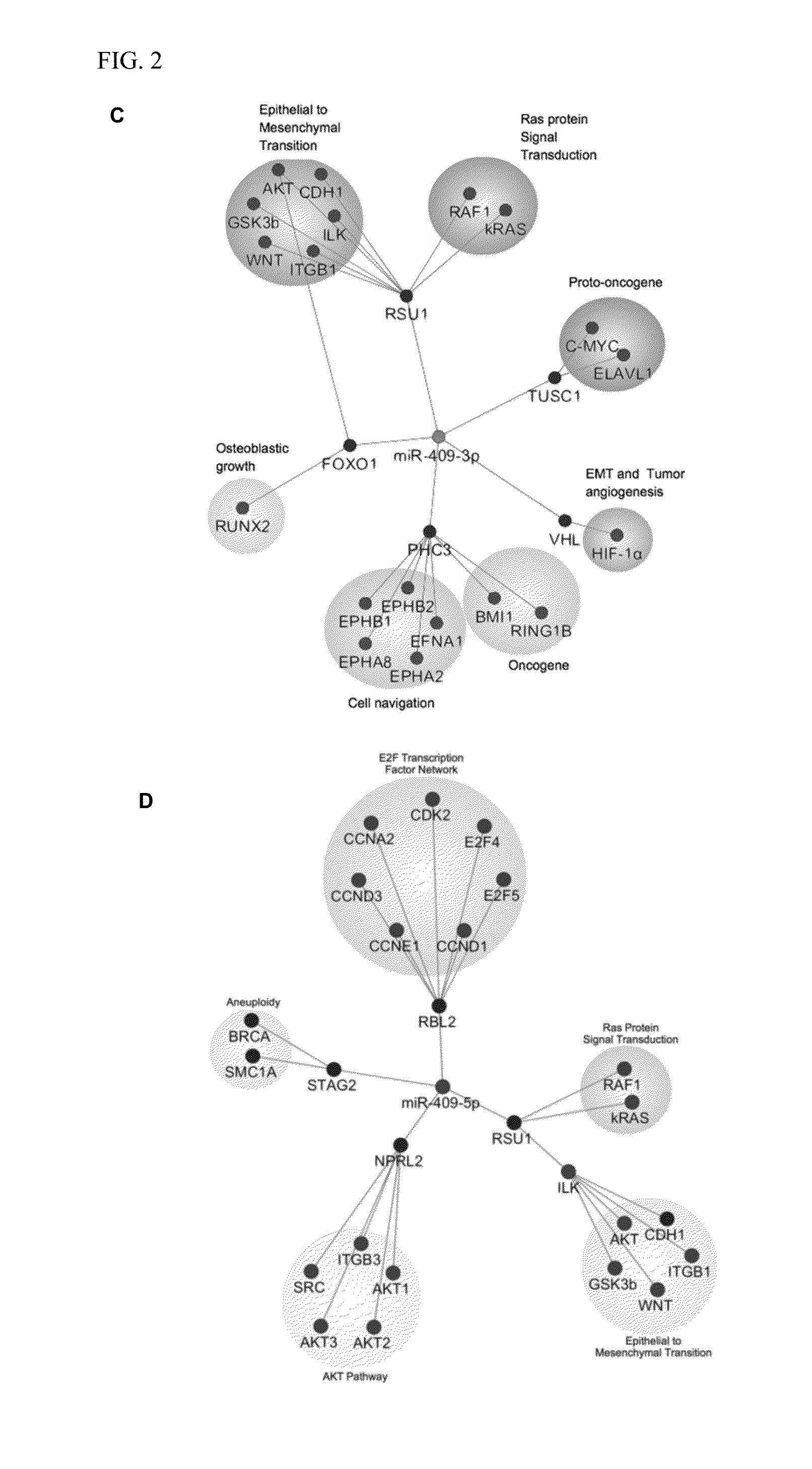 Targeting micrornas mir-409-5p, mir-409-3p and mir-154* to treat prostate cancer bone metastasis and drug resistant lung cancer