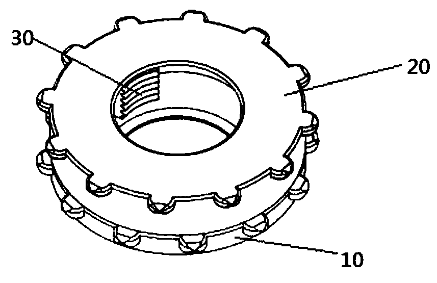 A quick release nut