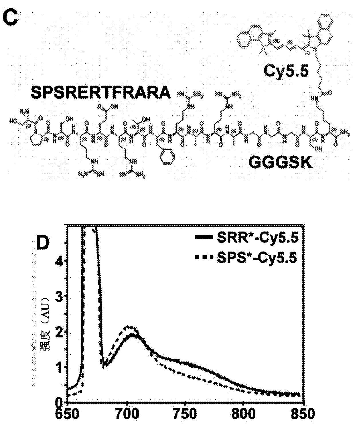 Fibroblast growth factor receptor 2-specific peptide reagents and methods