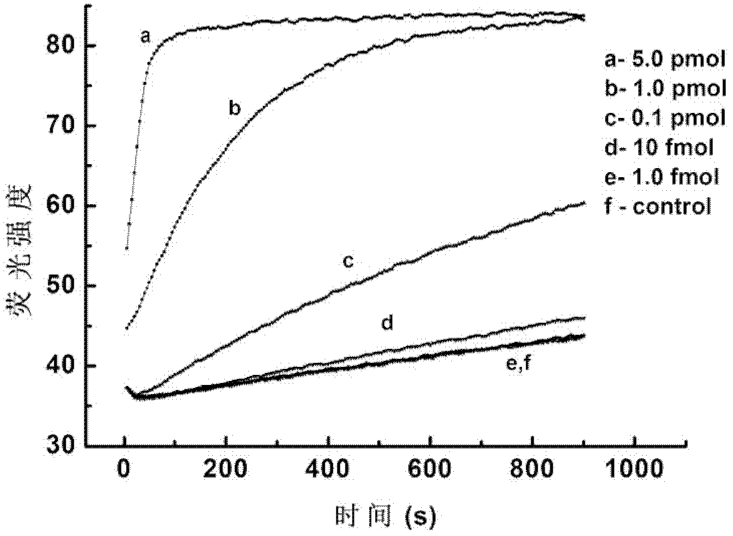 Method for signal amplification and detection of dna target sequences