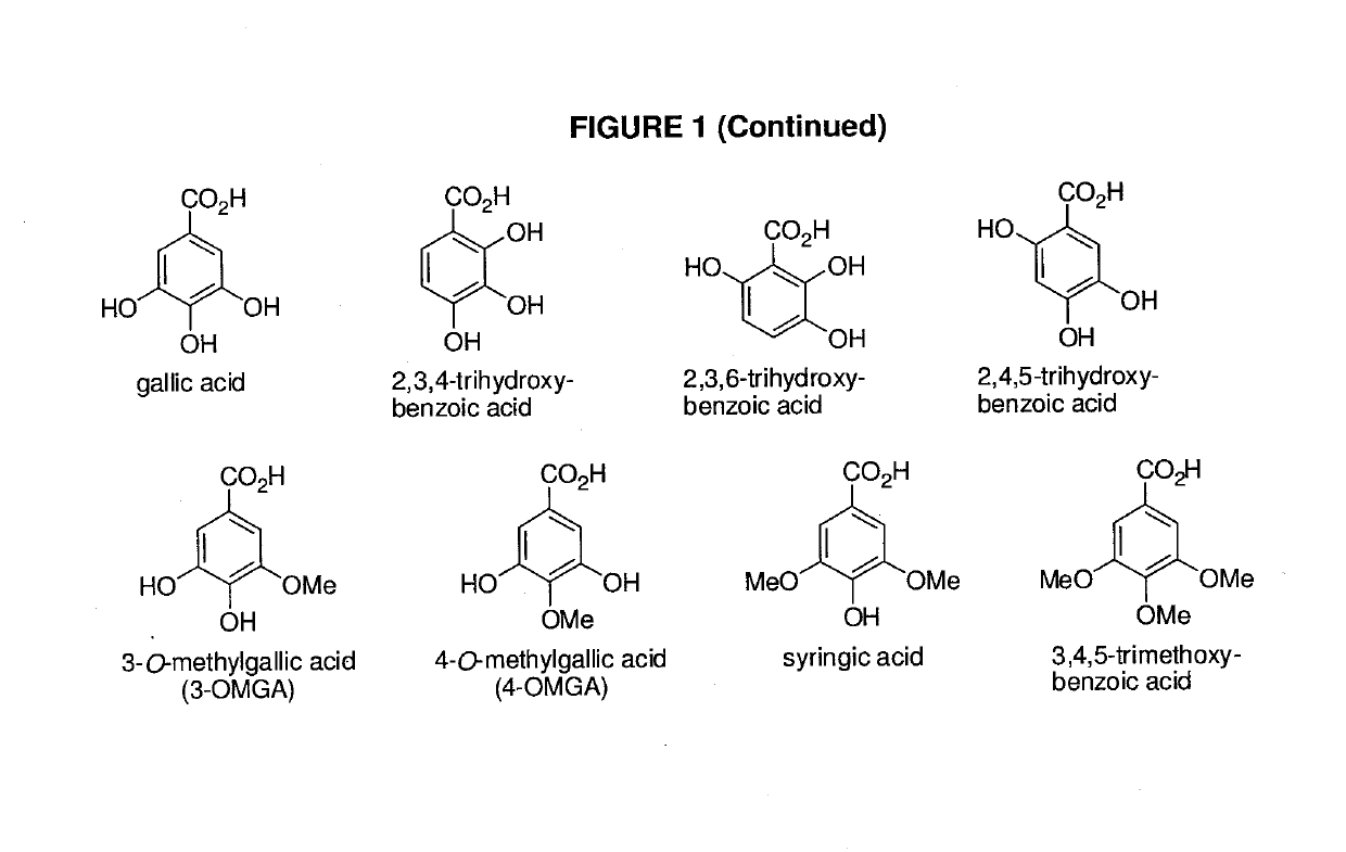 Benzoic Acid, Benzoic Acid Derivatives and Heteroaryl Carboxylic Acid Conjugates of Hydrocodone, Prodrugs, Methods of Making and Use Thereof
