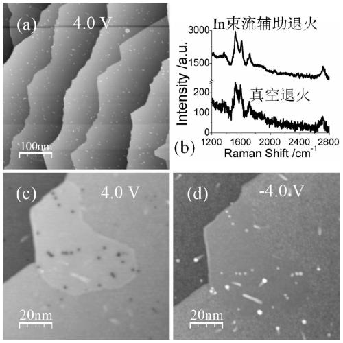 A method for preparing large-area regular epitaxial graphene doped with metal atoms