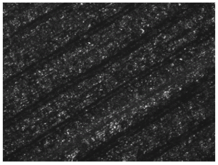 Preparation method of leafy biomass pyrolytic carbon counter electrode for dye-sensitized solar cell