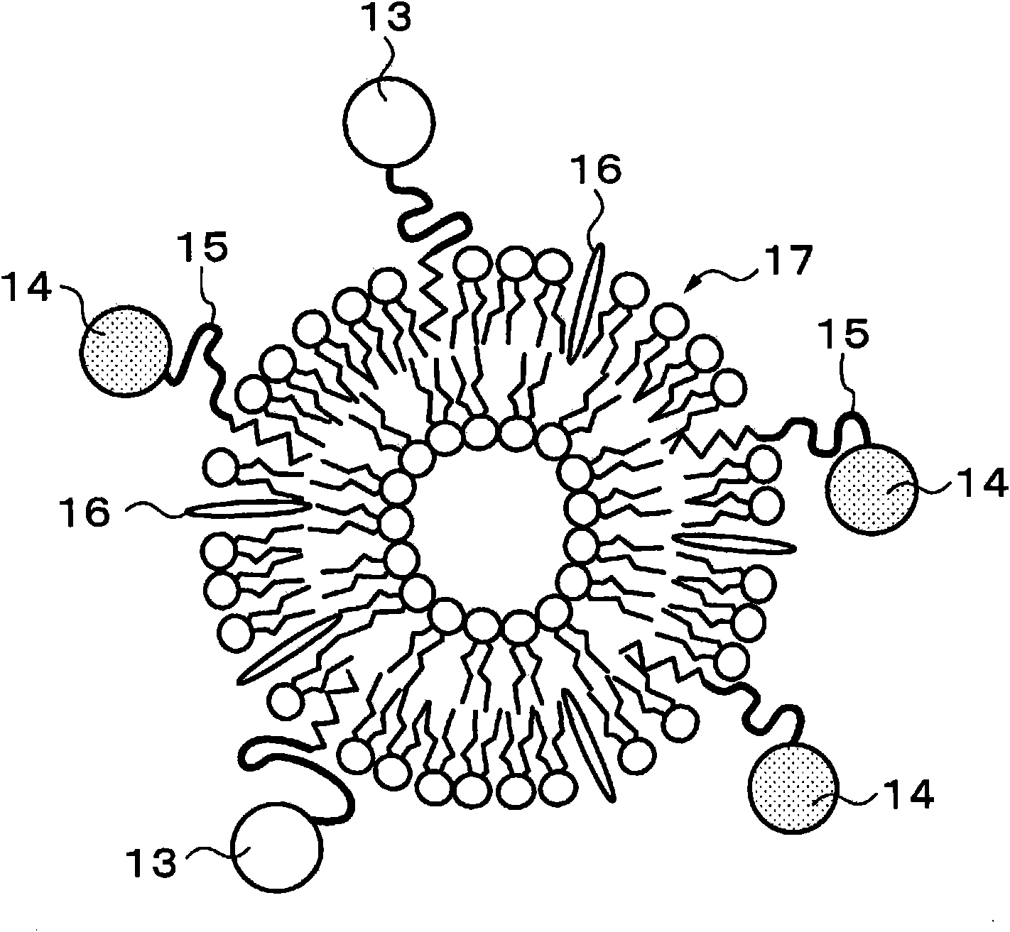 Enzyme immobilized electrode, fuel cell, electronic equipment, enzyme reaction utilization apparatus, and enzyme immobilized base
