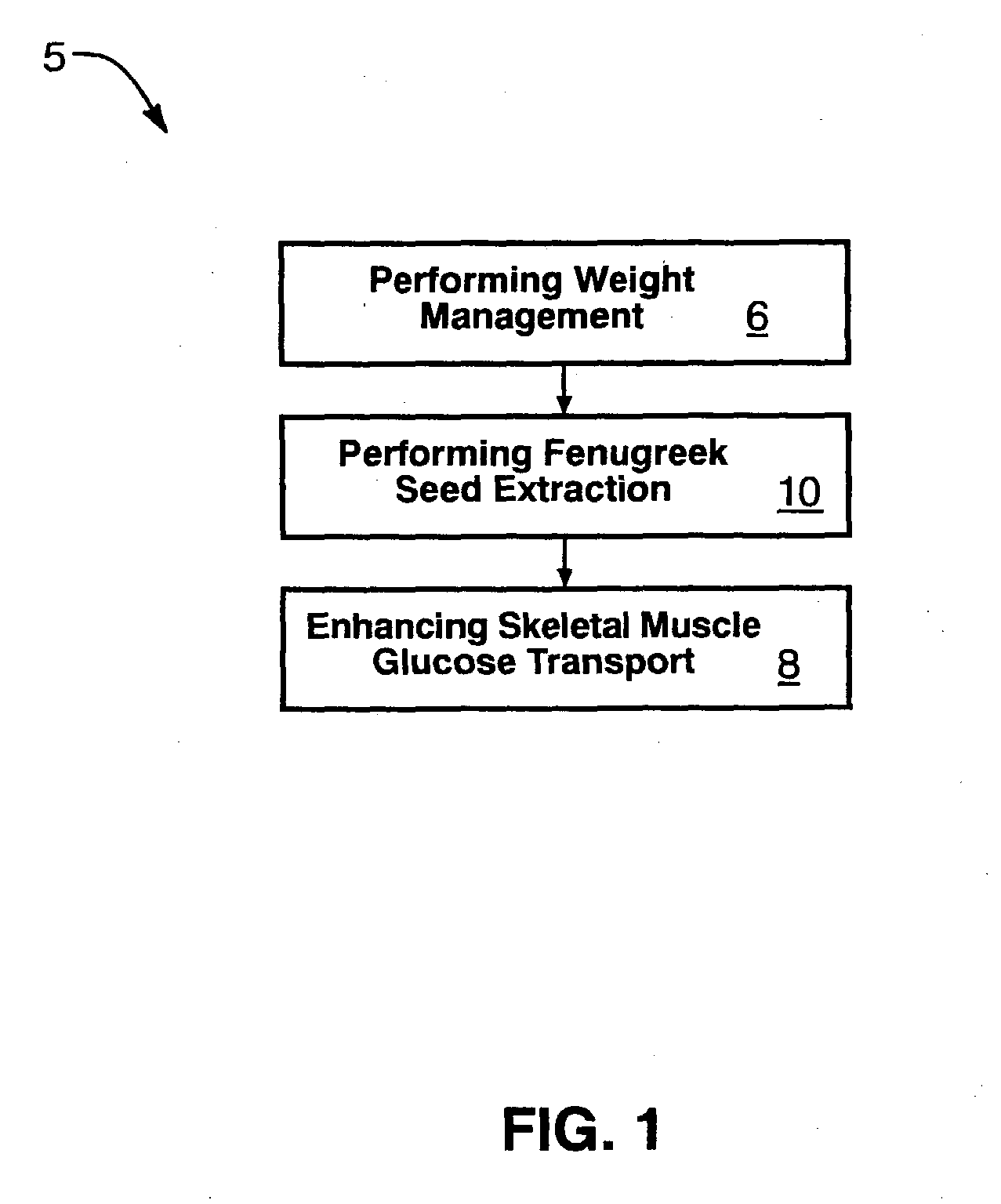 Fenugreek seed bio-active compositions and methods for extracting same