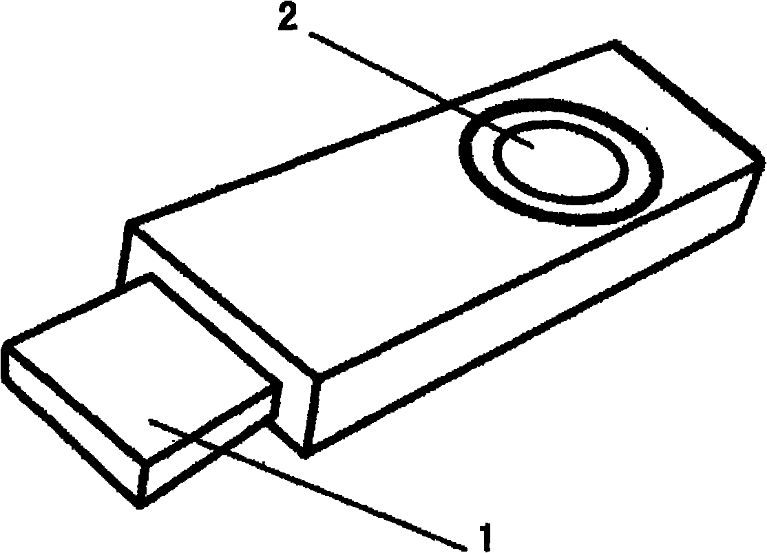 USB (Universal Serial Bus) disk camera