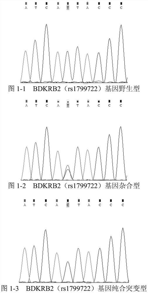 A primer set and kit for detecting genes related to hypertension drug metabolism