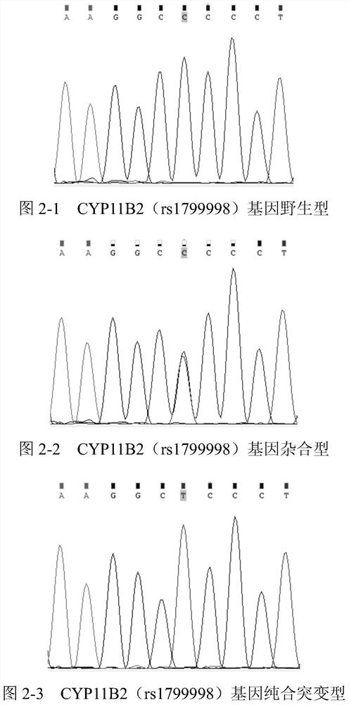 A primer set and kit for detecting genes related to hypertension drug metabolism