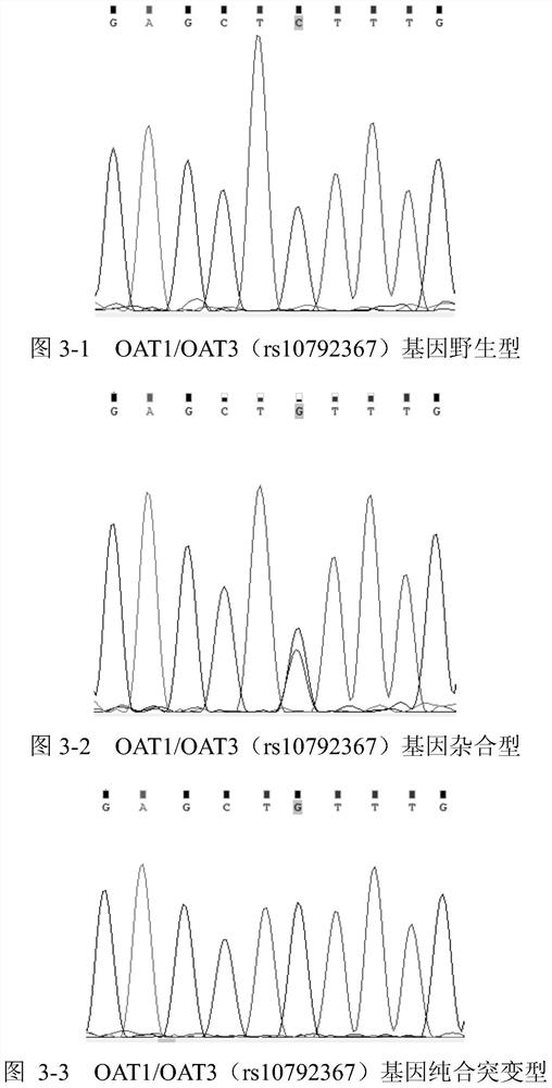 A primer set and kit for detecting genes related to hypertension drug metabolism