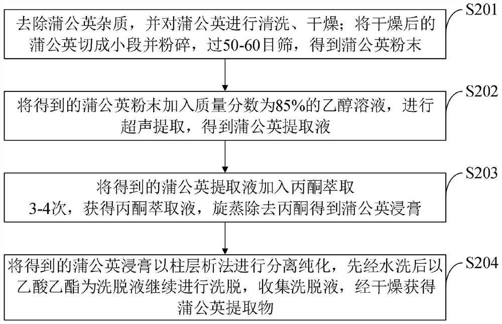 Traditional Chinese medicine composition for preventing and treating animal diarrhea and preparation method thereof