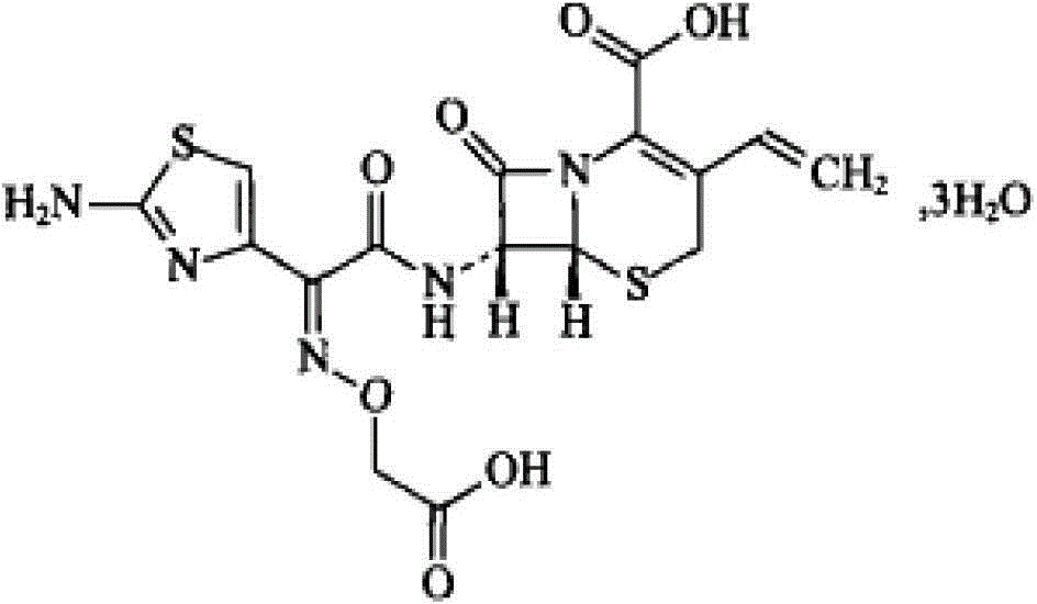 A kind of suspension granule of cefixime composition and preparation method thereof