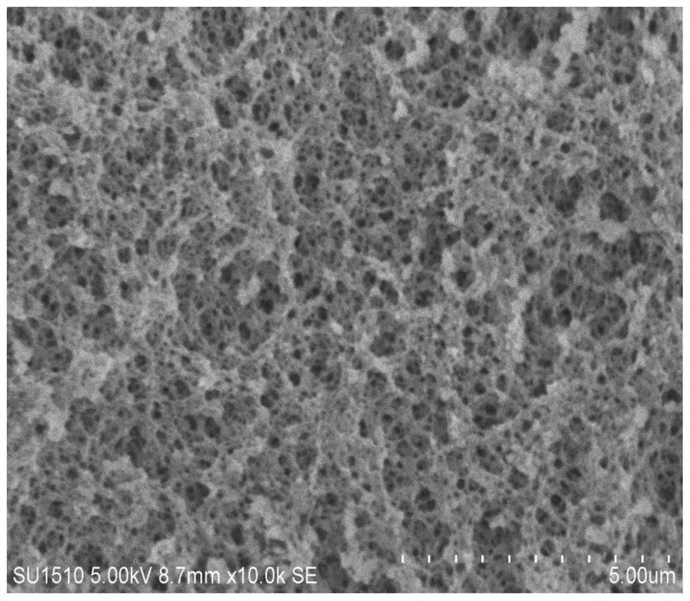 A kind of polymer carrier and its preparation method and its method of separating and purifying tea saponin