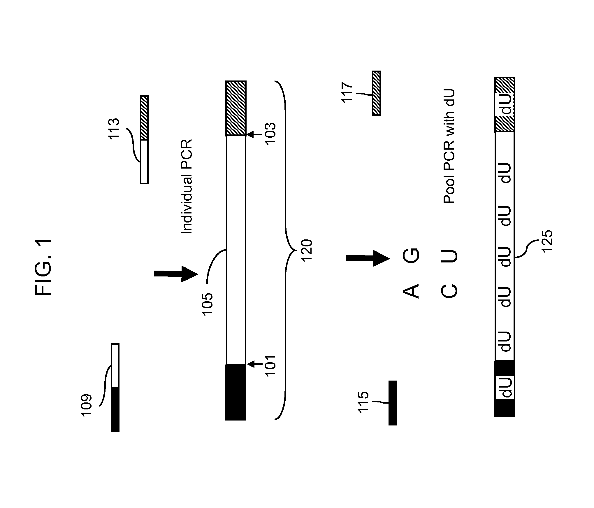Resequencing methods for identification of sequence variants