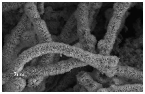 Preparation method of nickel-cobalt sulfide material with three-dimensional nanostructure