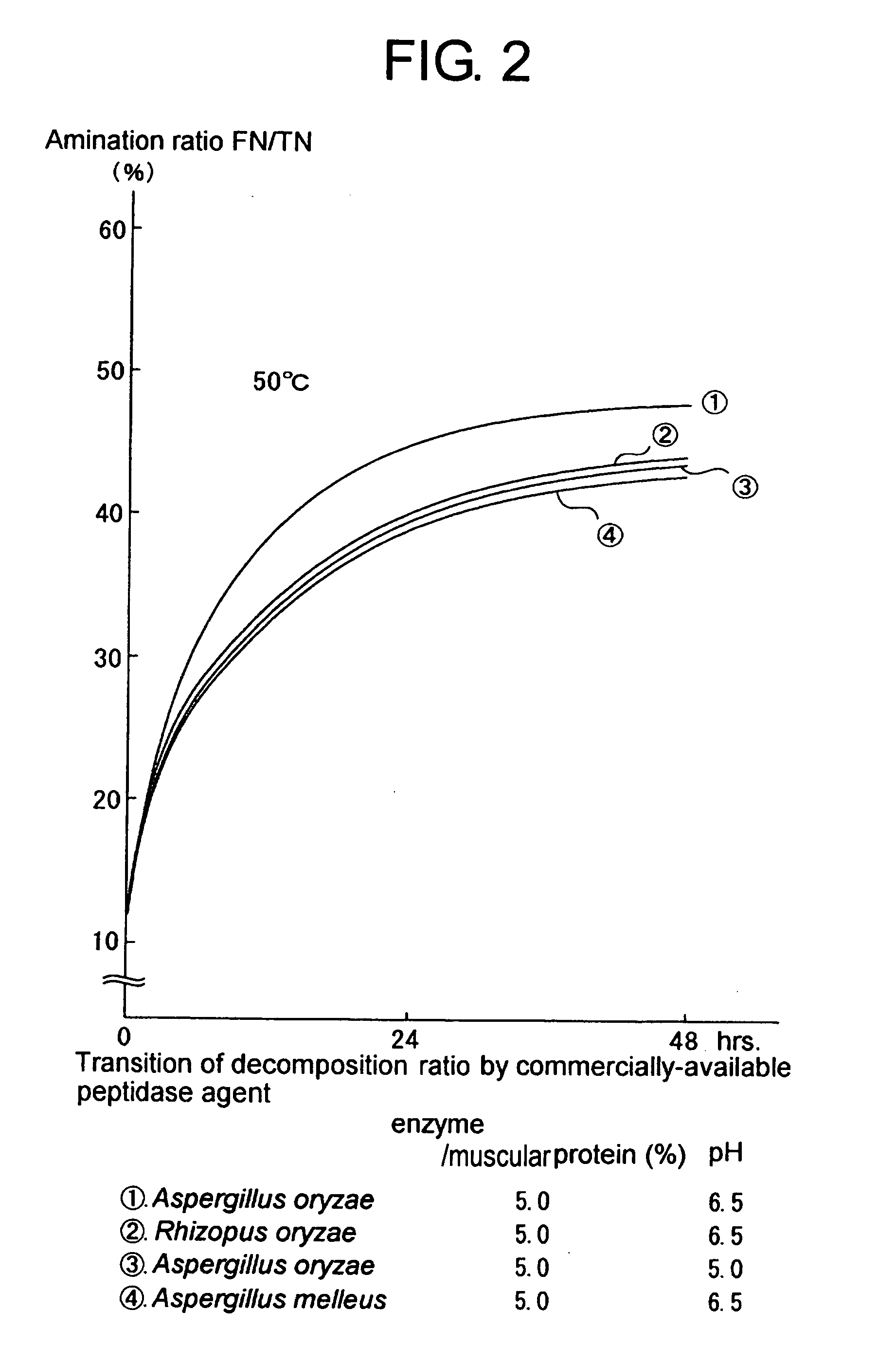 Process for producing protein hydrolysate and protein hydrolysate