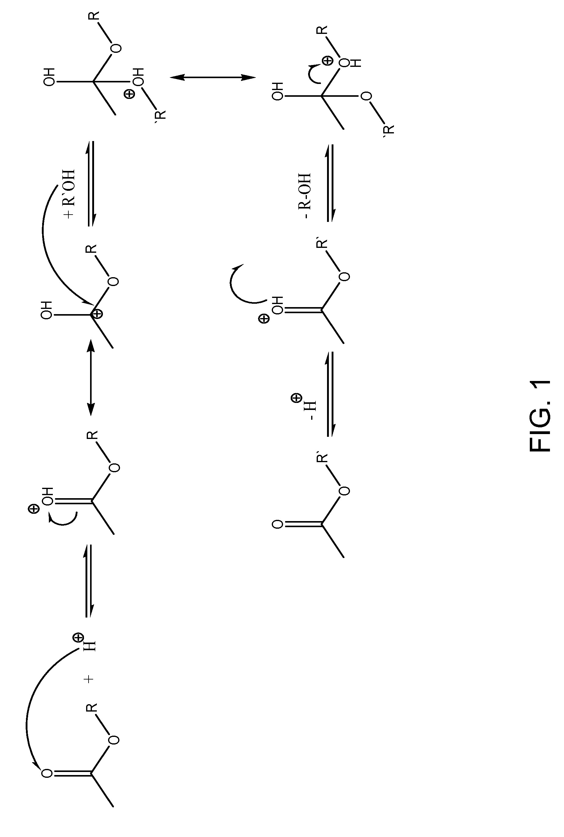 Methods and compositions for extraction and transesterification of biomass components