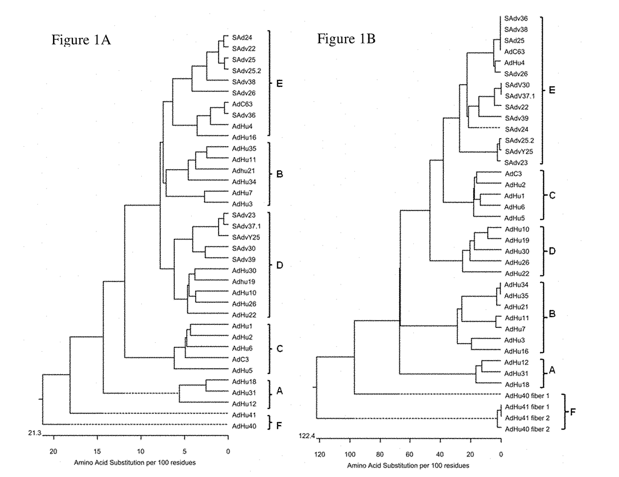 Simian adenovirus and hybrid adenoviral vectors