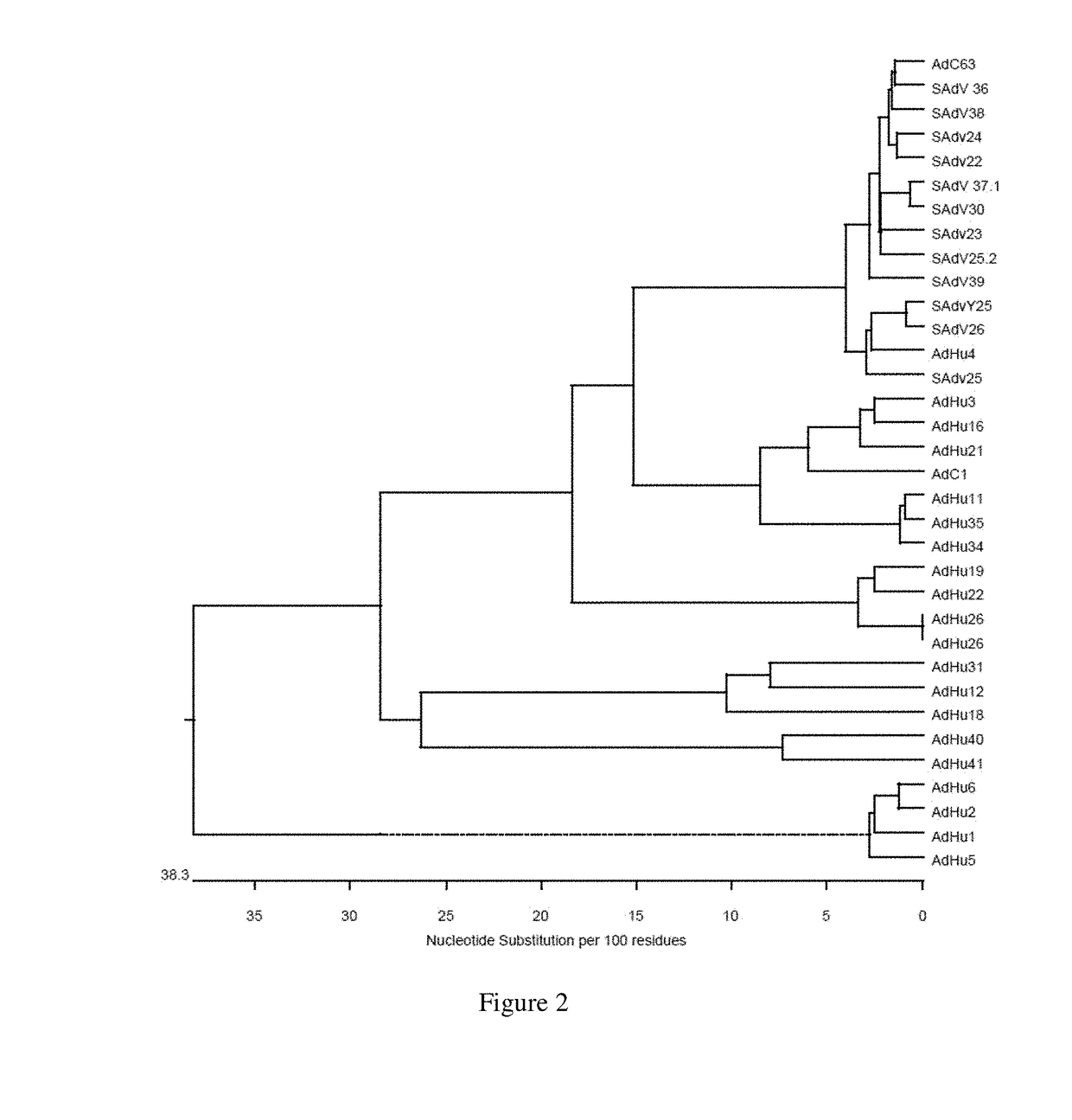 Simian adenovirus and hybrid adenoviral vectors