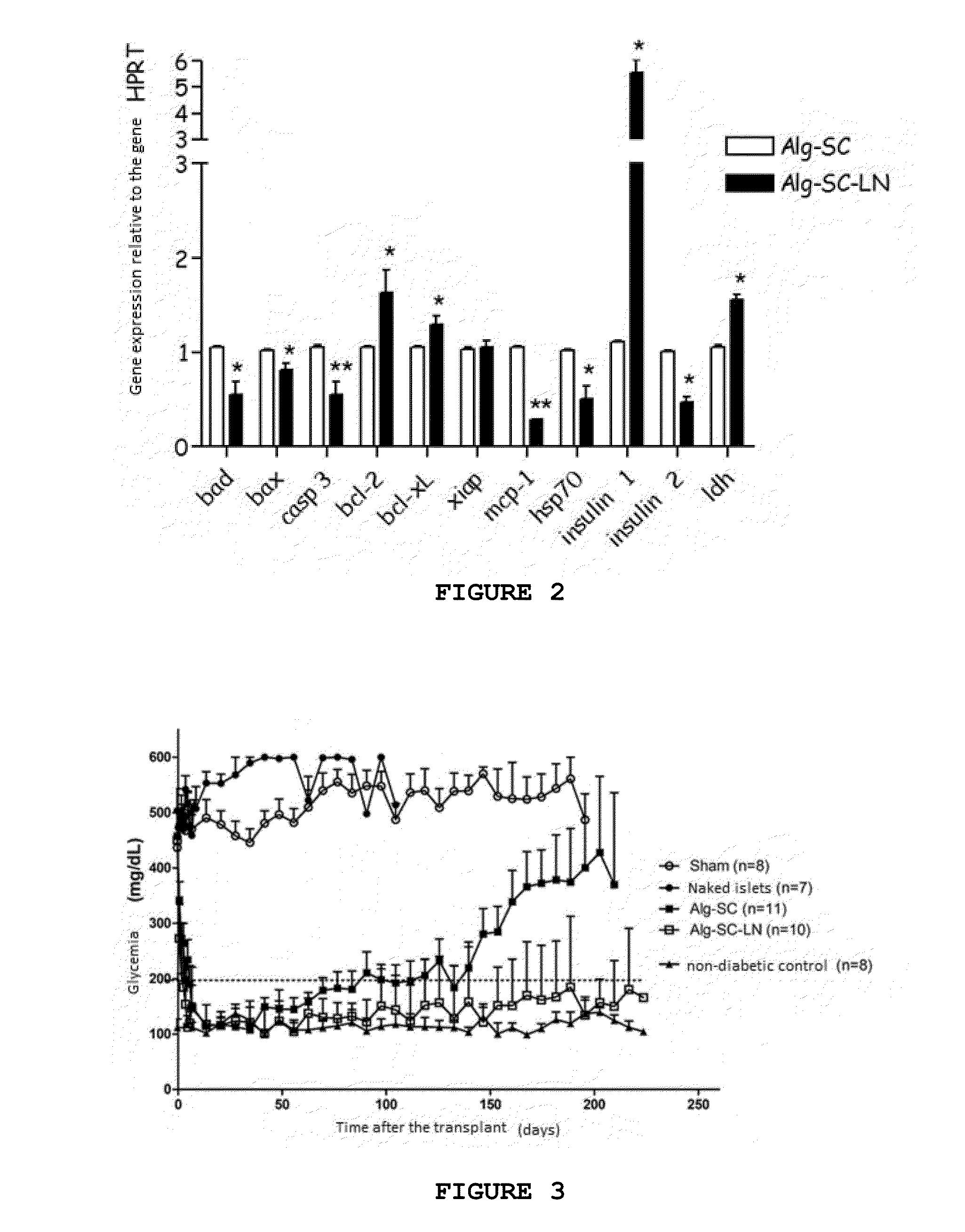 Biopolymer Composition for Encapsulating Cells, Method for Producing a Biopolymer Composition for Encapsulating Cells, Method for Promoting Cell Cytoprotection and Use of a Biopolymer Composition for Encapsulating Cells