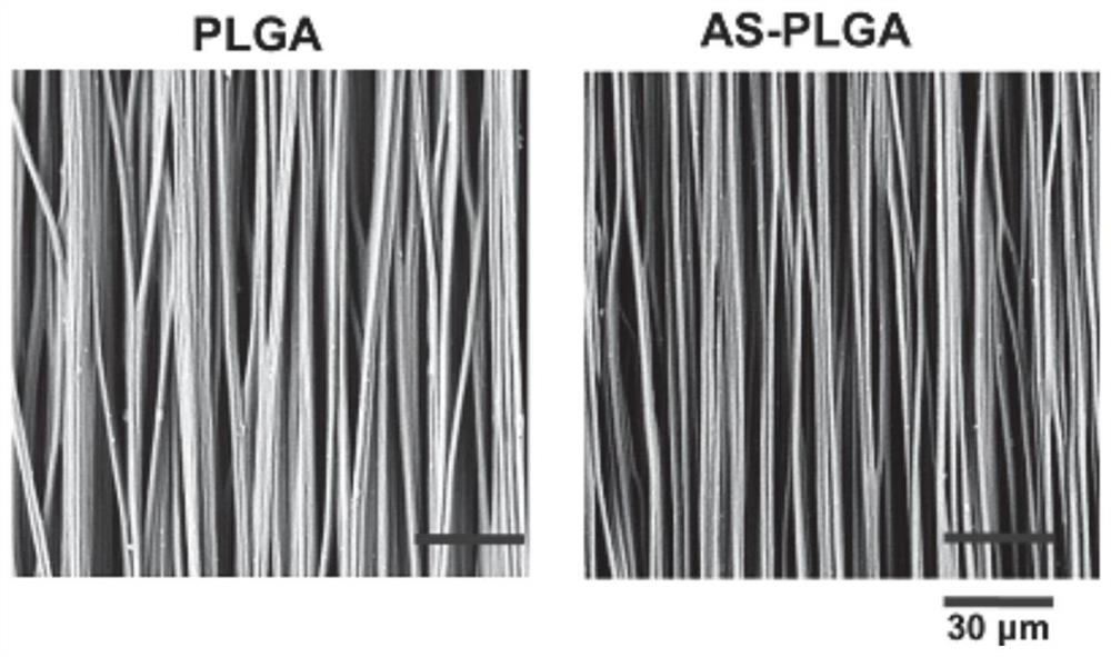 Biocompatible and degradable electrospinning asiaticoside, its preparation method and application