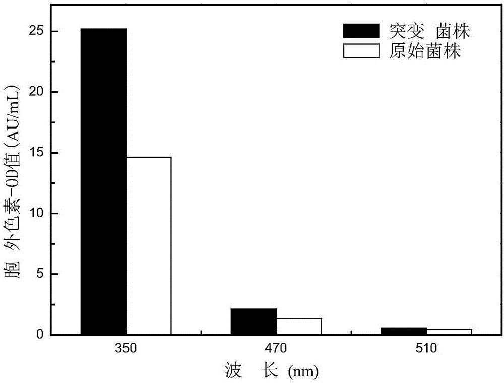 Monascus ruber strain with high extracellular yellow pigment yields, method for breeding monascus ruber strain and application thereof