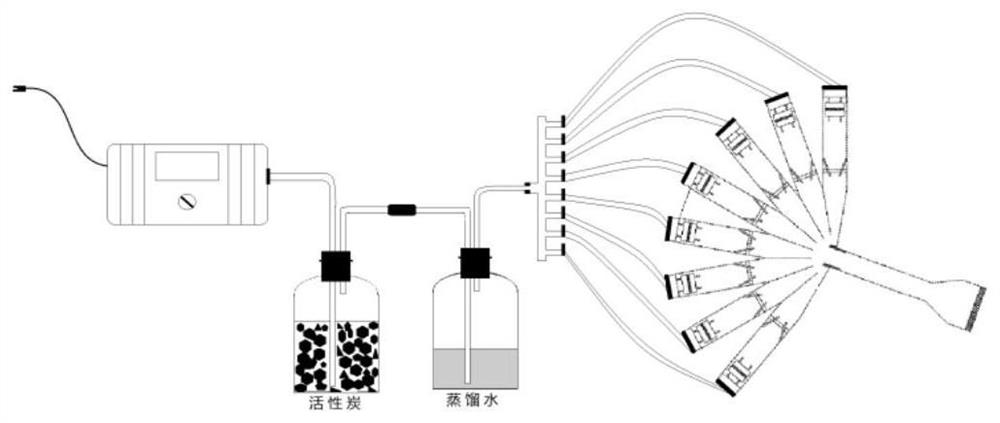 Odor Compositions for Attracting the Cutting Beetle of Yunnan