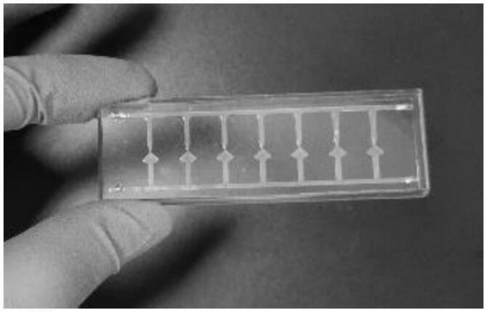 A microfluidic chip, system and application for juvenile zebrafish