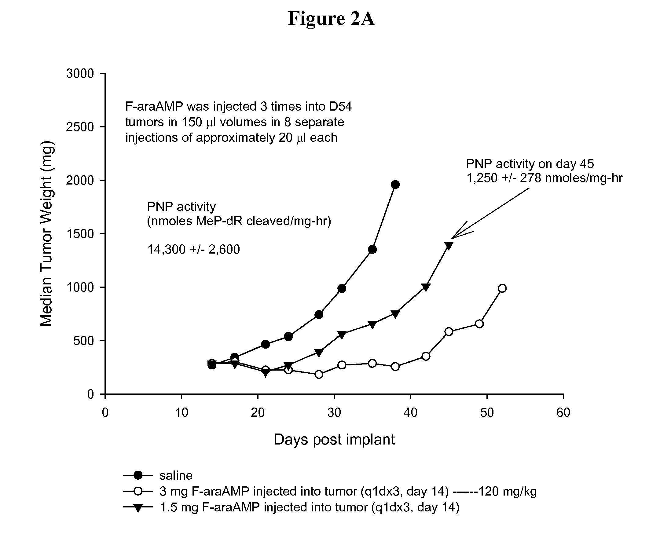 Enhanced therapeutic usage of a purine nucleoside phosphorylase or nucleoside hydrolase