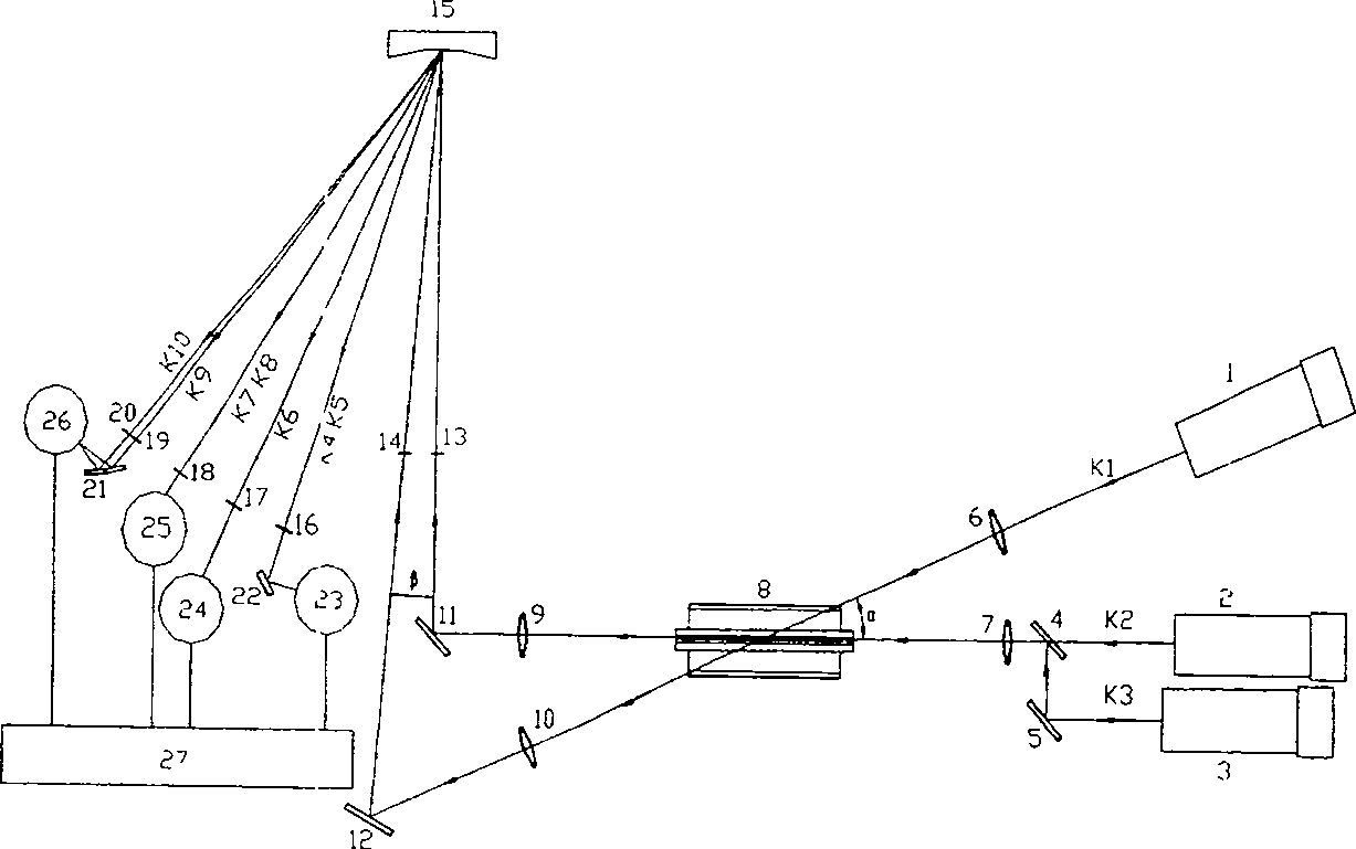 Atom absorption method and apparatus for multi-element simultaneous determination