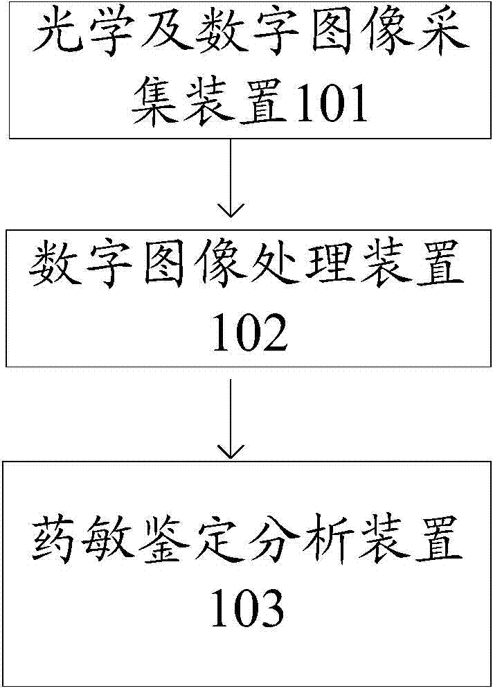System for visually identifying and analyzing as well as identifying drug allergy and drug allergy detecting method