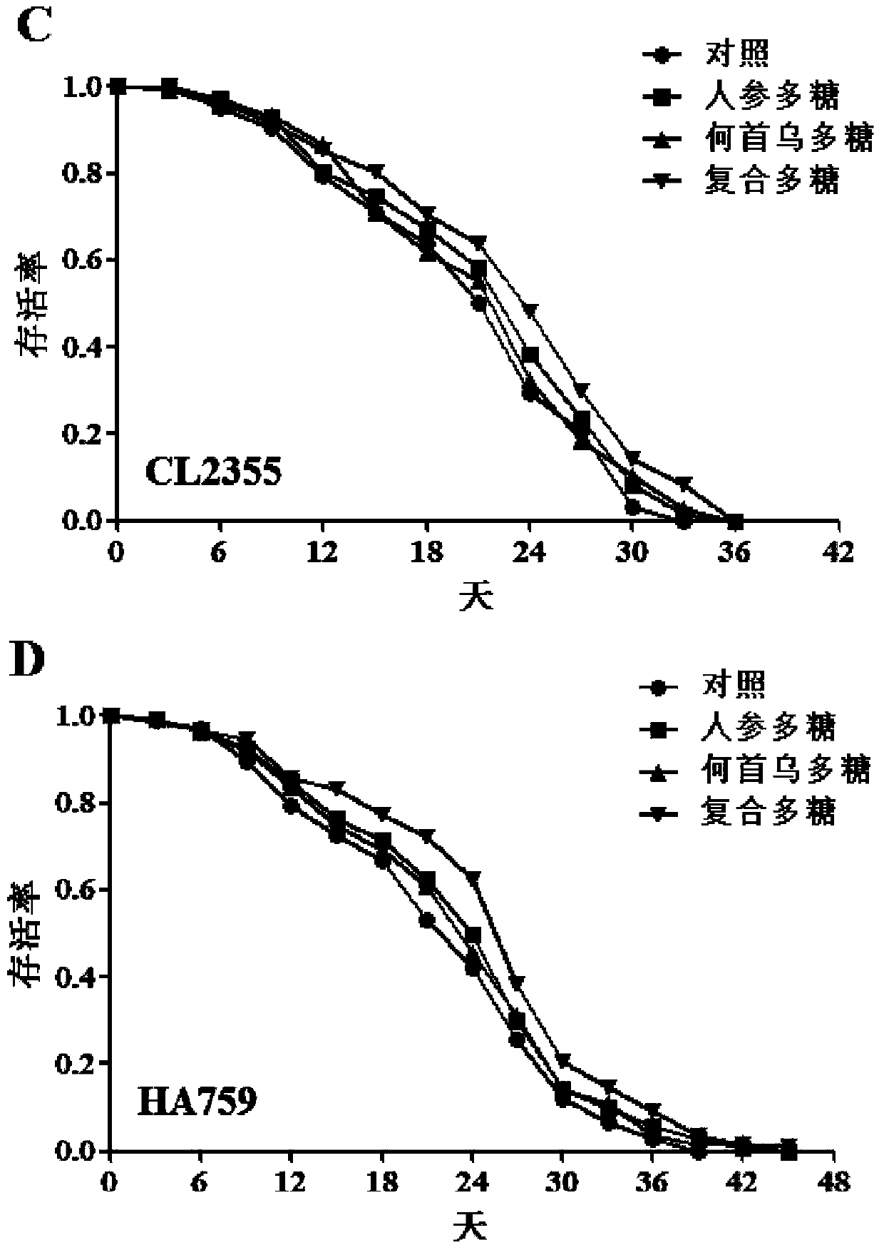 Application of ginseng and polygonum multiflorum compound polysaccharide in preparation of health foods with anti-aging effect