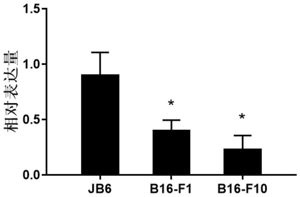 Malignant melanoma biomarker PTGER2 and application thereof