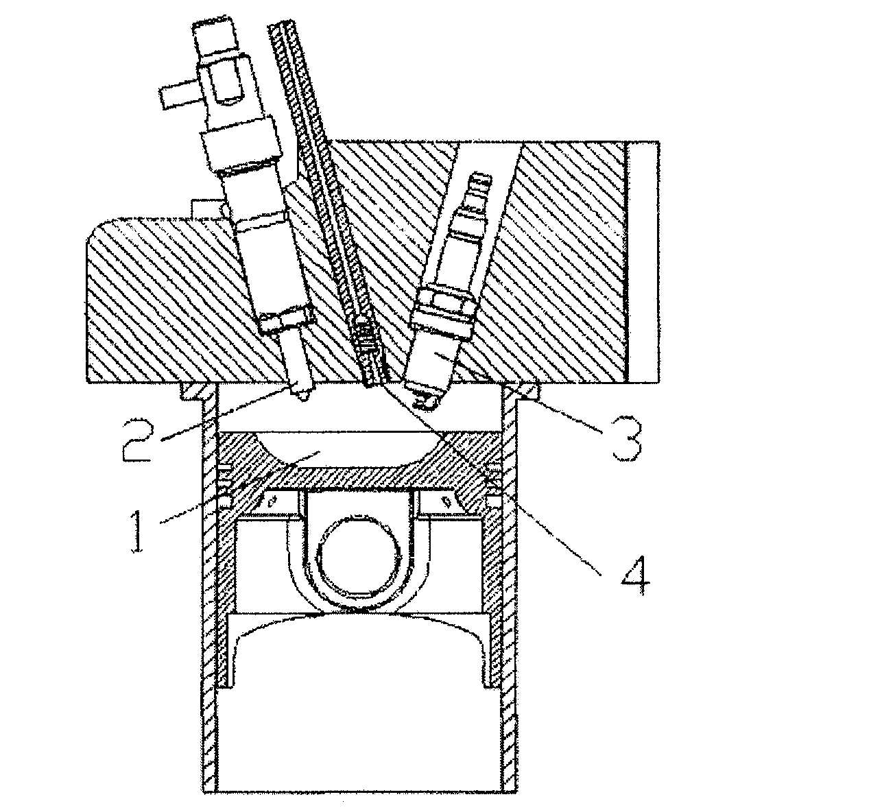 Multi-fuel pre-mixed combustion system of internal combustion engine