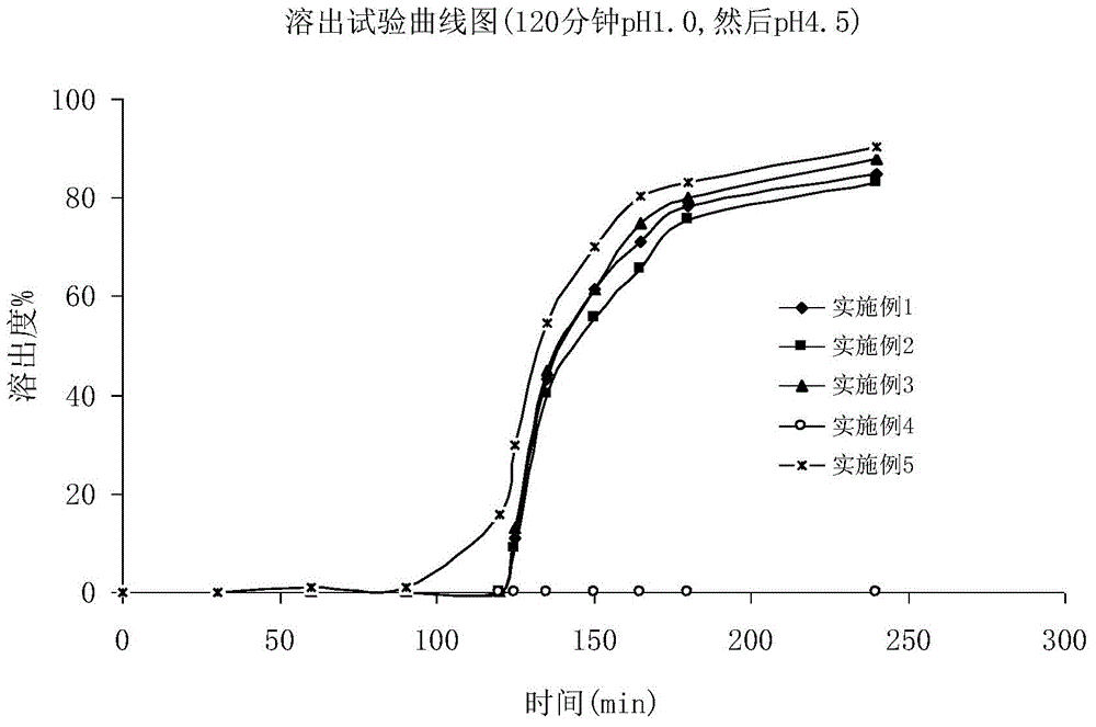 Fidaxomicin enteric-coated preparation