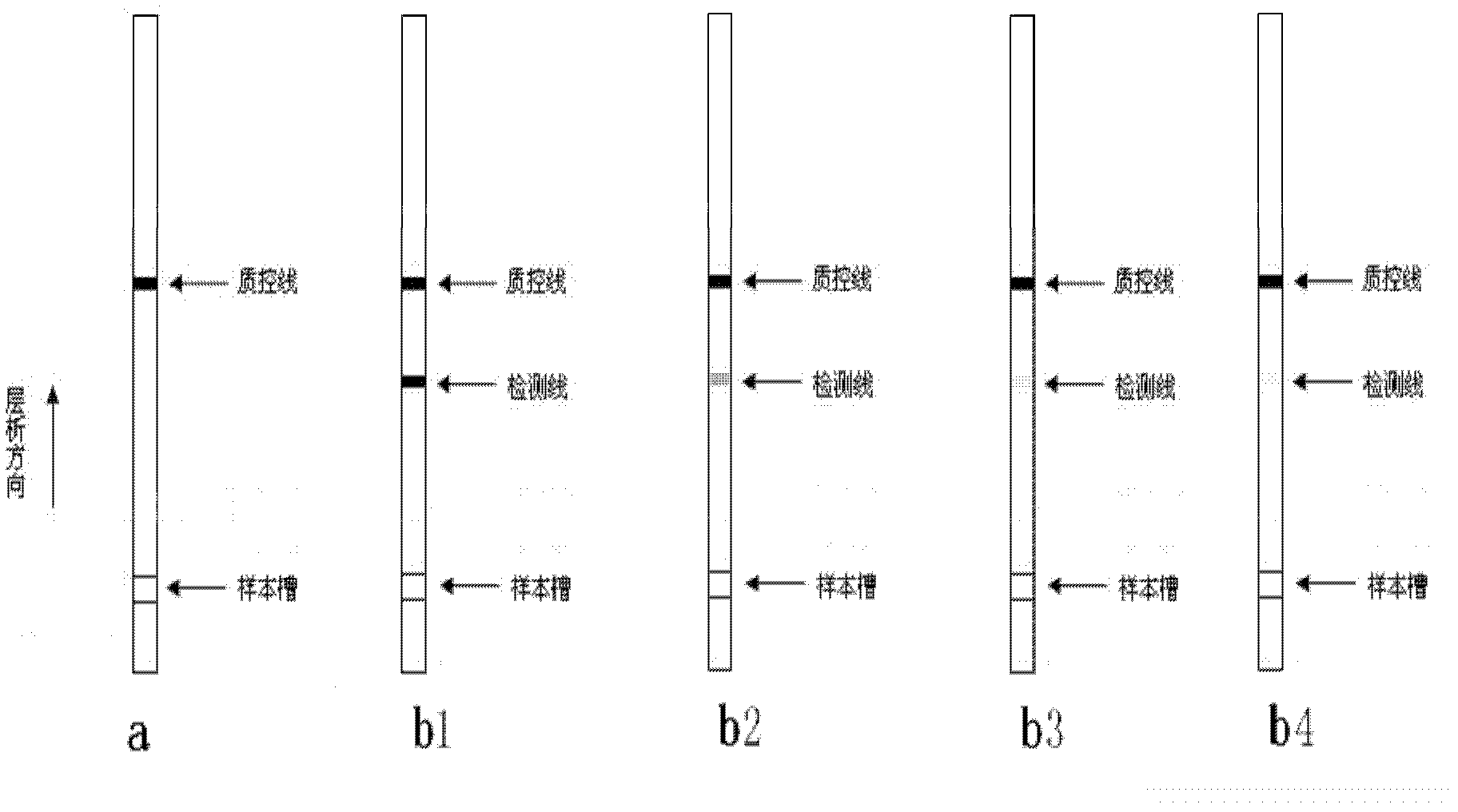 Method for quantitative detection of zearalenone