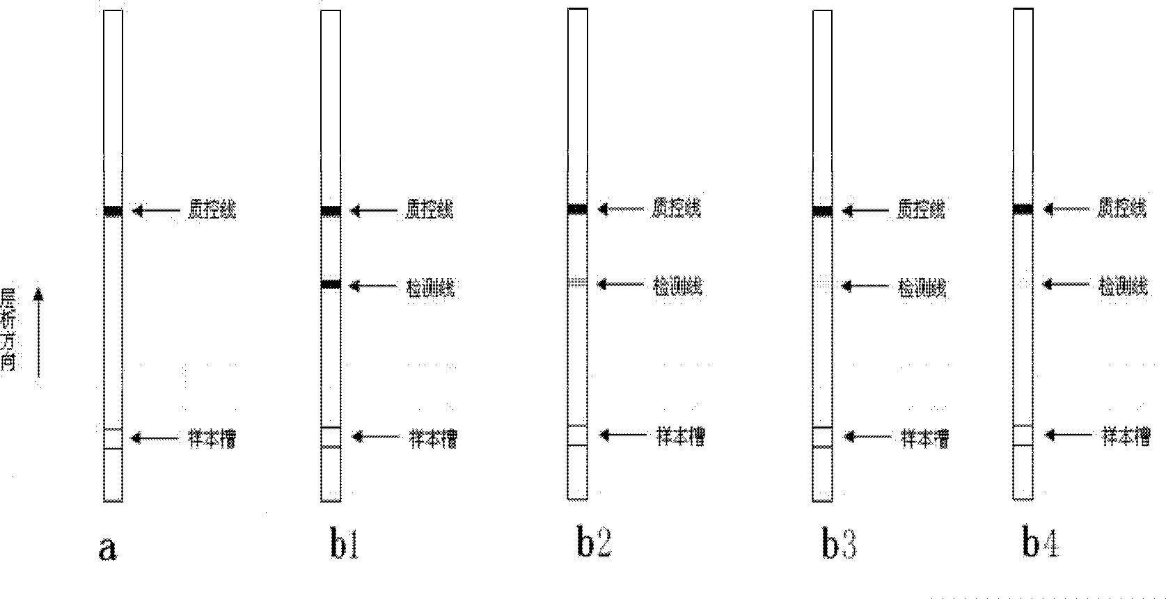 Method for quantitative detection of zearalenone