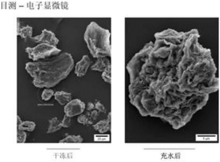 Hyaluronic acid freeze-dried microcapsule powder and preparation method and application thereof