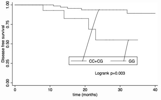 The use of pdl1 SNP genotype as a marker for predicting the efficacy of neoadjuvant chemotherapy in breast cancer