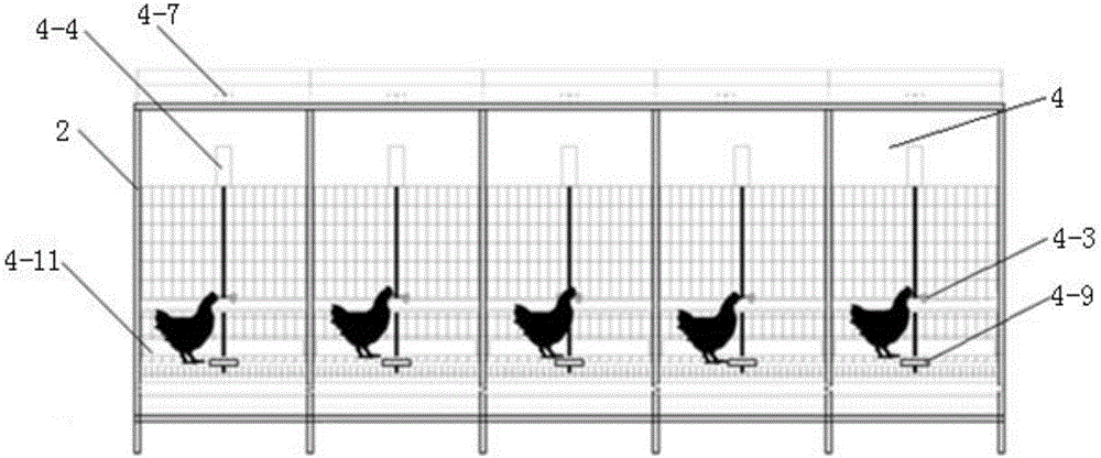 Light environment preference selection detecting system for livestock and poultry