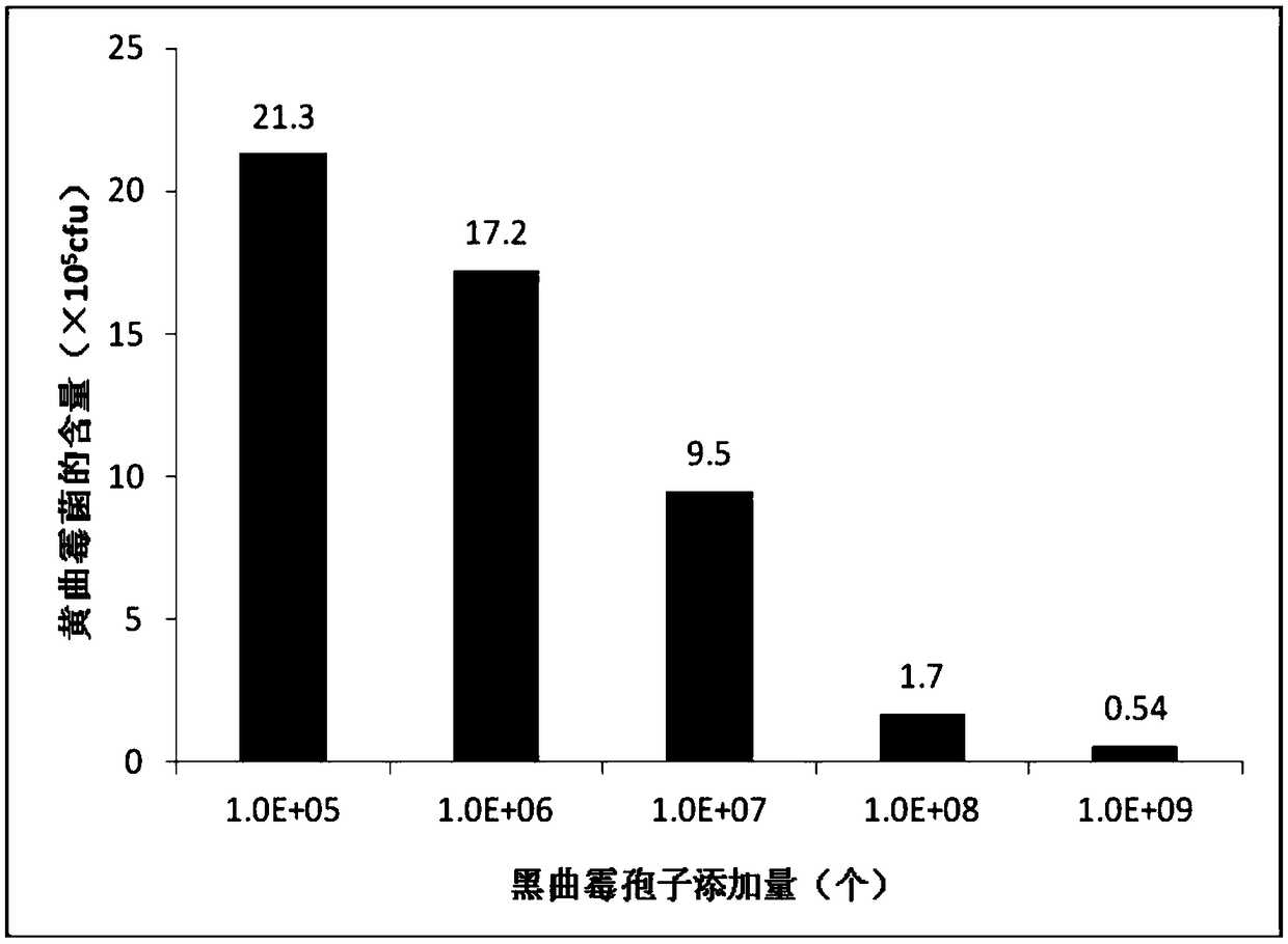 Film coating liquid containing aspergillus flavus antagonistic bacteria and preparation method and application thereof