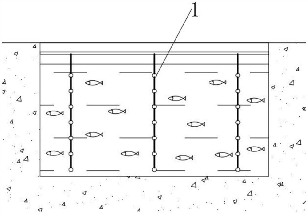 Fixed-point feeding method of feed for aquaculture