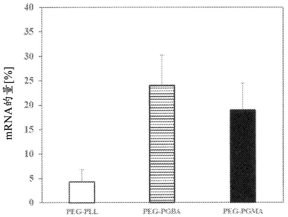 Polymer compound for nucleic acid delivery