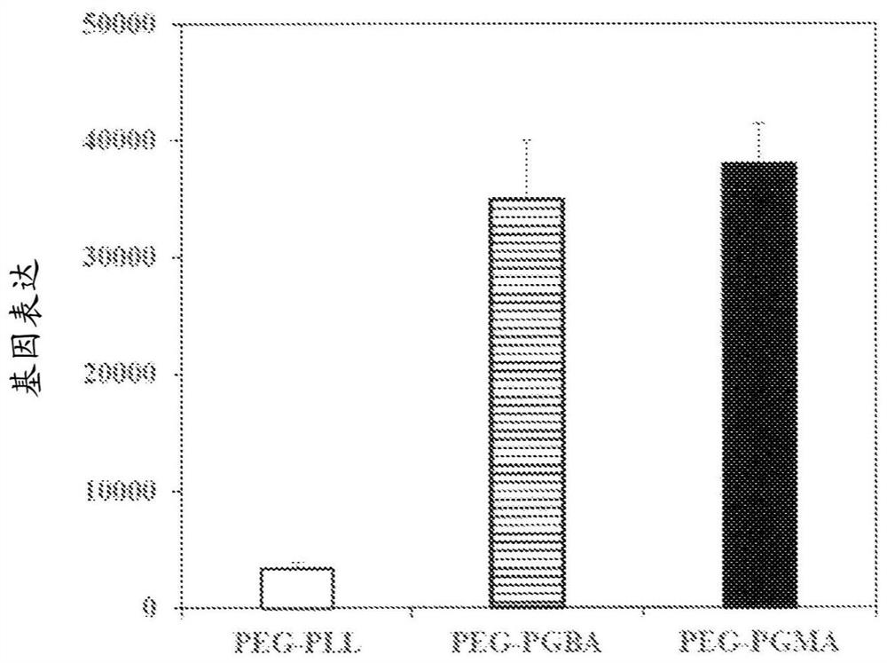 Polymer compound for nucleic acid delivery