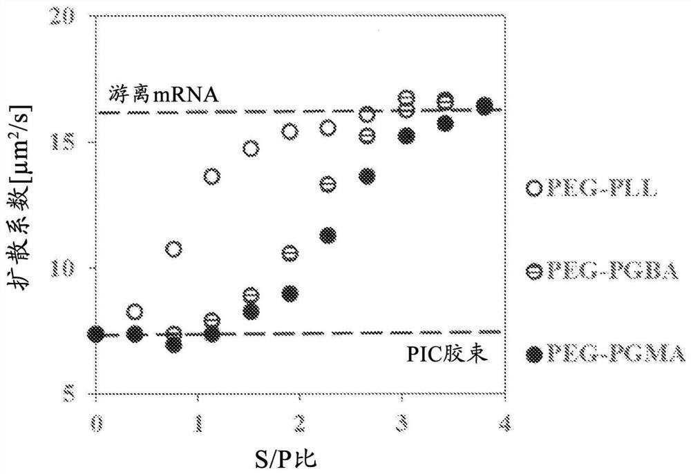 Polymer compound for nucleic acid delivery