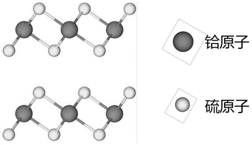 Preparation method of vertically aligned hafnium disulfide nanosheets by chemical vapor deposition