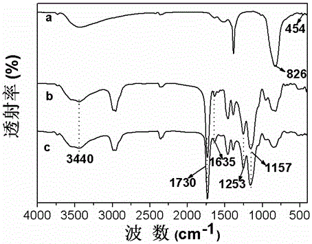 Preparation method of rare earth-doped core-shell fluorescent imprinted polymer