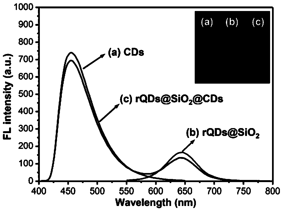 Preparation method and application of single-particle double-emission ratiometric fluorescent probe
